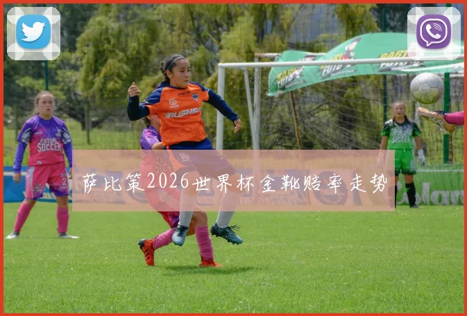 萨比策2026世界杯金靴赔率走势