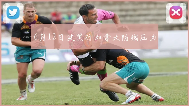 6月12日波黑对加拿大防线压力