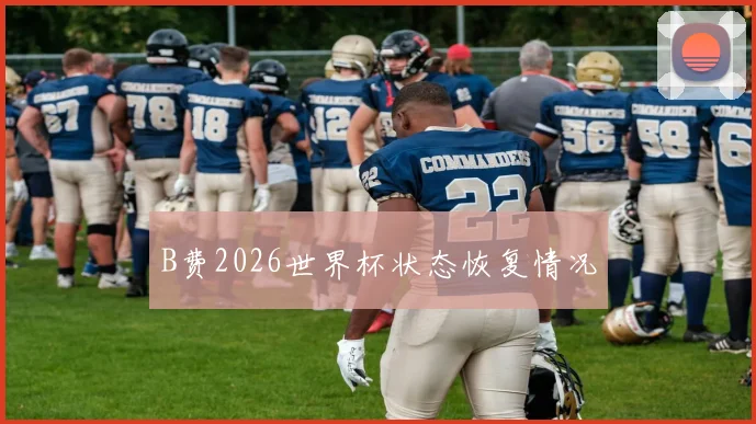 B费2026世界杯状态恢复情况