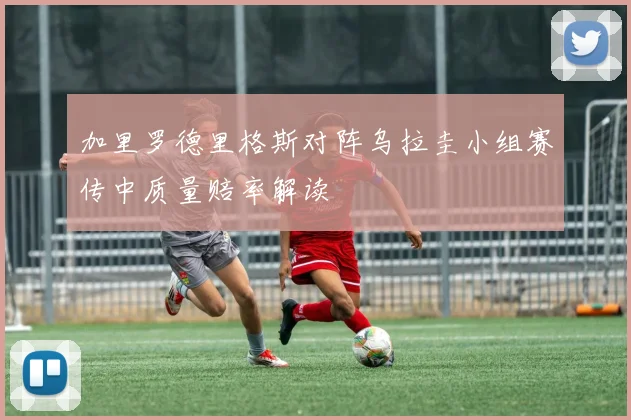 加里罗德里格斯对阵乌拉圭小组赛传中质量赔率解读