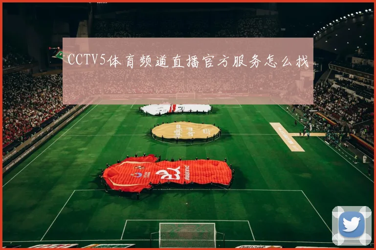 CCTV5体育频道直播官方服务怎么找