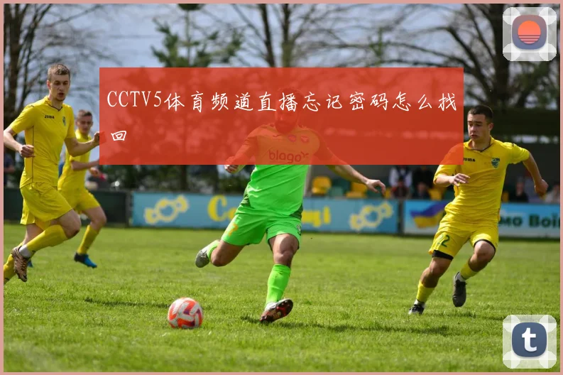 CCTV5体育频道直播忘记密码怎么找回