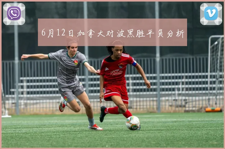 6月12日加拿大对波黑胜平负分析